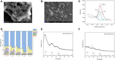 Vanadium (V) bio-detoxification based on washing water of rice as microbial and carbon sources